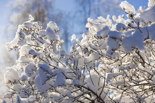 The winter in swedish Lapland — Stock Photo, Image