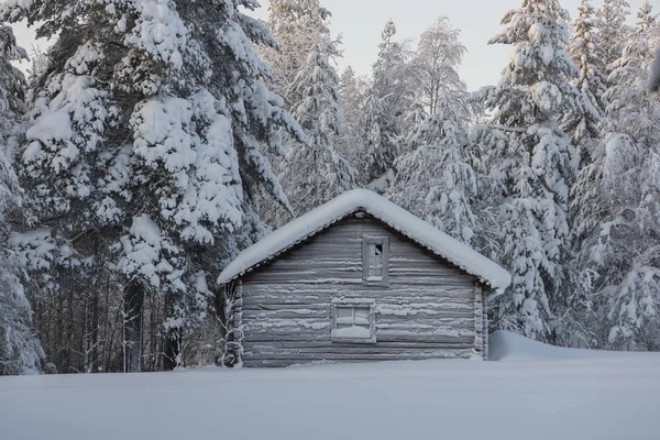 O inverno na Lapônia sueca — Fotografia de Stock