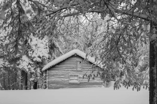 El invierno en Laponia sueca — Foto de Stock