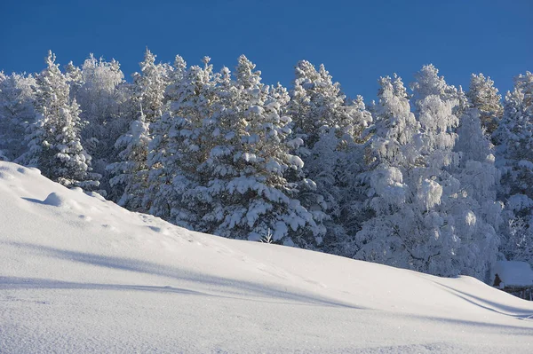 V zimě ve švédském Laponsku — Stock fotografie