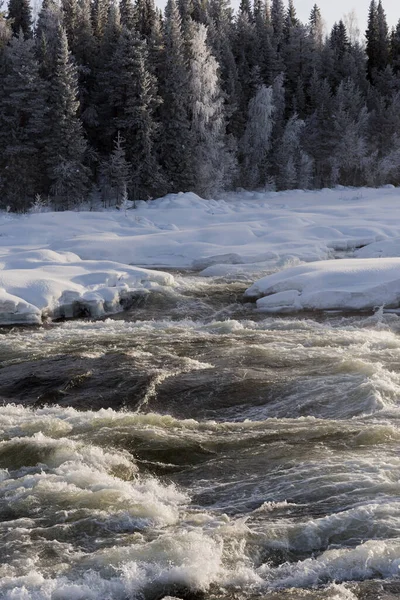 Storforsens Naturreservat Rapides Fluviaux Très Importants Norrbotten Suède Pendant Hiver — Photo