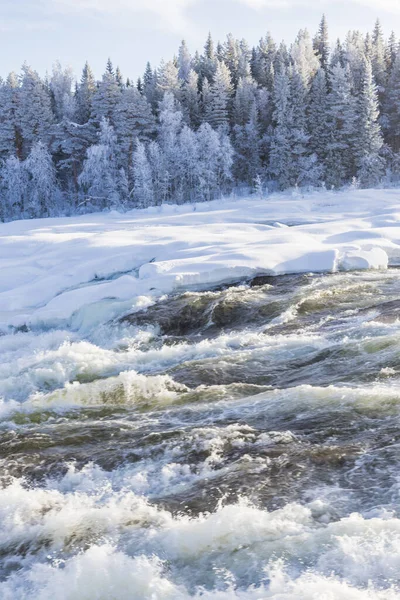 Storforsens Naturreservat Sehr Wichtige Stromschnellen Norrbotten Schweden Winter — Stockfoto