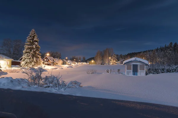 Árboles Casa Durante Invierno Con Nieve Hielo — Foto de Stock