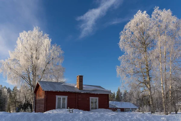 Árvores Casa Durante Inverno Com Neve Gelo — Fotografia de Stock