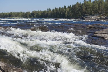 Vindelalven, vahşi nehir ve akarsular, İsveç 'in kuzeyinde, yaz boyunca.