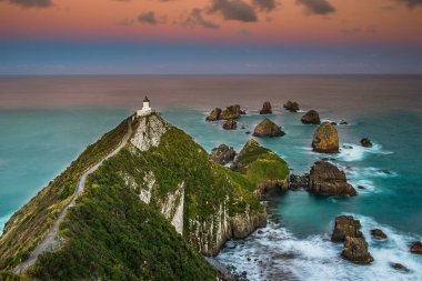 Nugget Point morning clipart