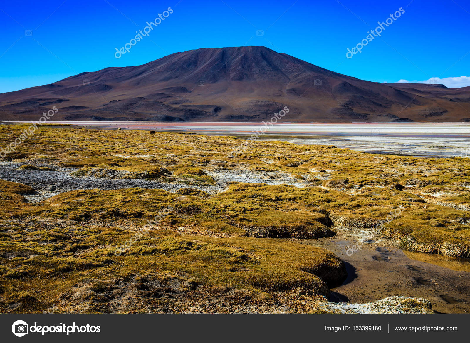 South America Landscape Bolivia Stock Photo Image By C Riverriver 153399180