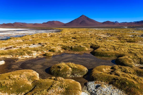 Южная Америка ландшафт Боливии — стоковое фото