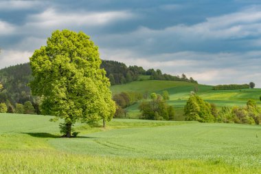 Çek Ulusal park bohem İsviçre