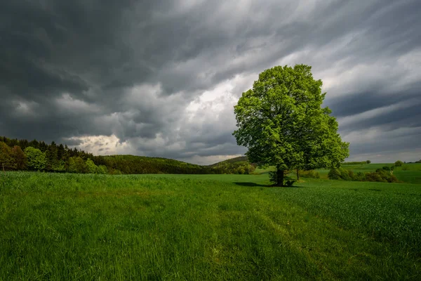 Çek Ulusal park bohem İsviçre — Stok fotoğraf