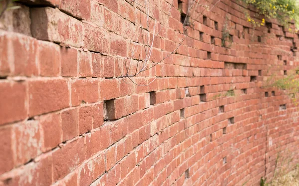 Textur Ziegelmauer — Stockfoto