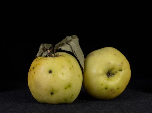 Jesienna odmiana apple — Zdjęcie stockowe