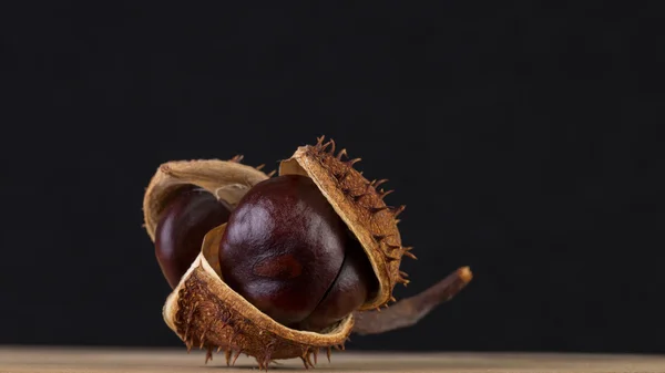 Decorative image of chestnuts — Stock Photo, Image