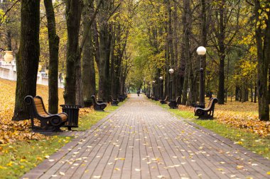 Sonbaharda şehir parkı