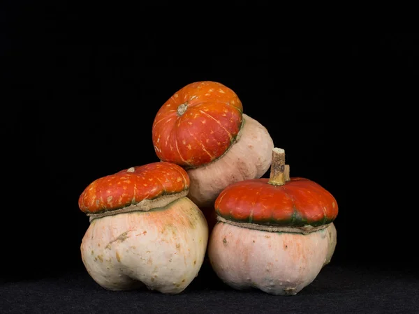 Decorative pumpkins interior — Stock Photo, Image