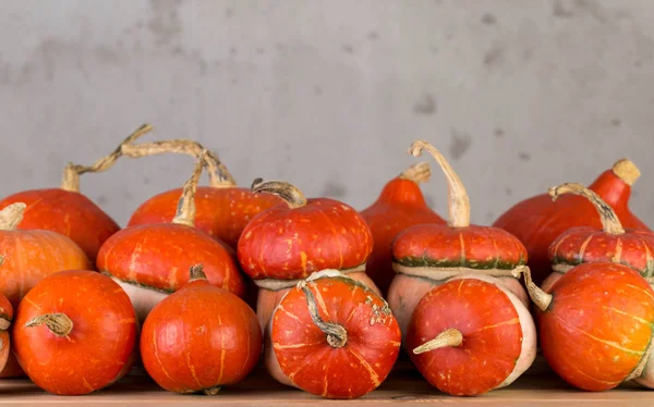 Orange decorative pumpkin — Stock Photo, Image