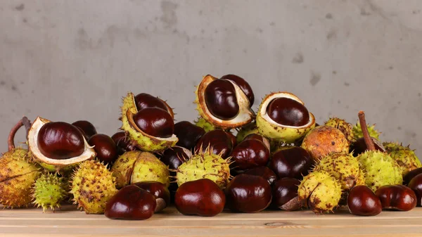 Chestnuts for decoration — Stock Photo, Image