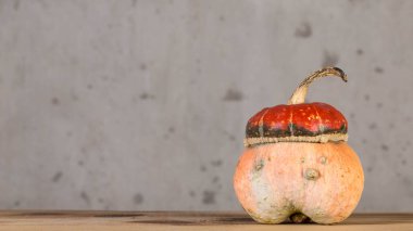 Turuncu dekoratif kabak