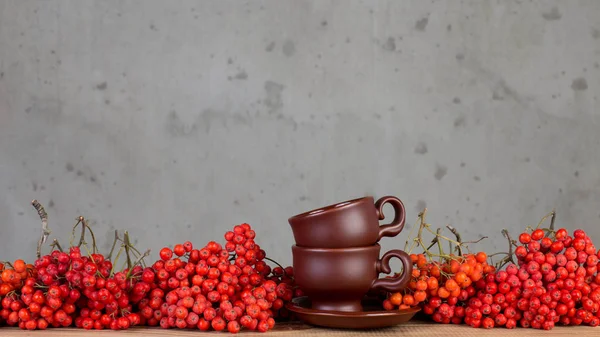 Bayas de serbal rojo — Foto de Stock