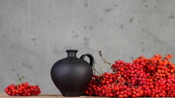 Berries of red rowan — Stock Photo, Image