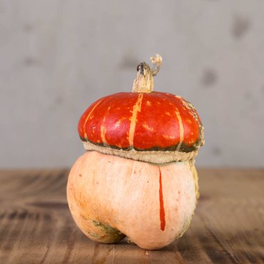 Dekoratif turuncu kabak