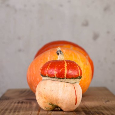 Dekoratif turuncu kabak