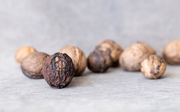 A few old nuts — Stock Photo, Image