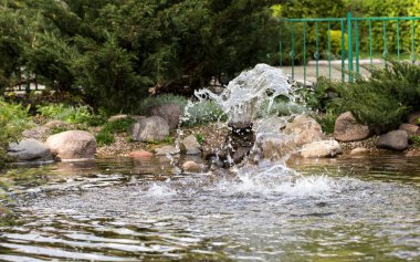 Çeşme ve dekoratif göl