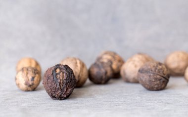 Bir kaç eski fındık