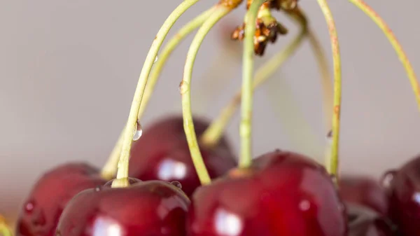 Fruta de cereja saborosa — Fotografia de Stock