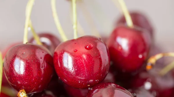 Fruta de cereja saborosa — Fotografia de Stock