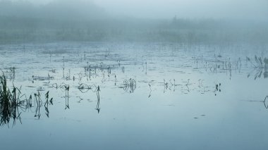 sis su yüzeyi üzerinde