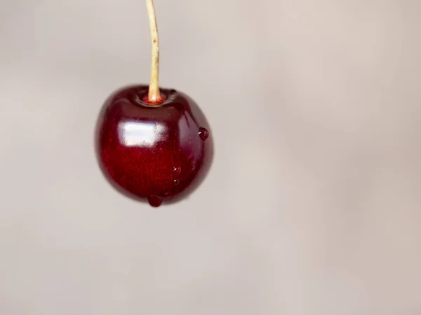 Tasty cherry fruit — Stock Photo, Image