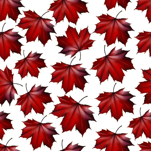 Яскраві Осіннє листя — стоковий вектор