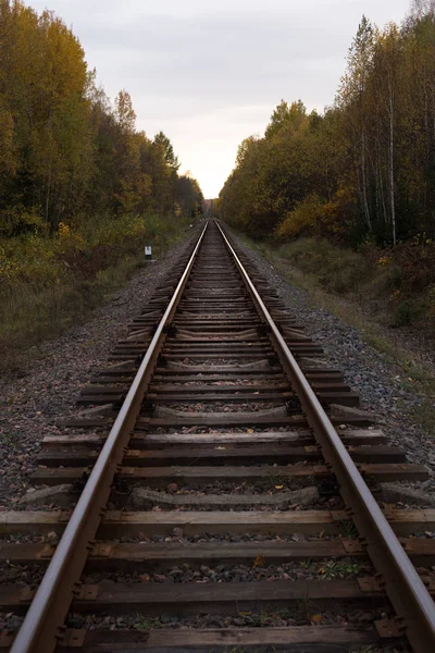 Железнодорожная дорога, идущая в кювет — стоковое фото