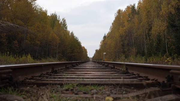 Eisenbahn bis zum Horizont — Stockfoto