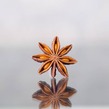 baharat yıldız anason