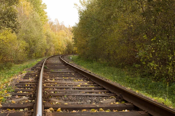 Железнодорожная дорога, идущая в кювет — стоковое фото