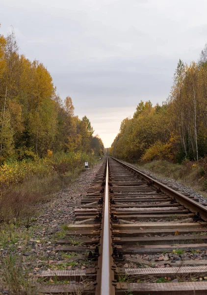 Ferroviária indo para o horizonte — Fotografia de Stock