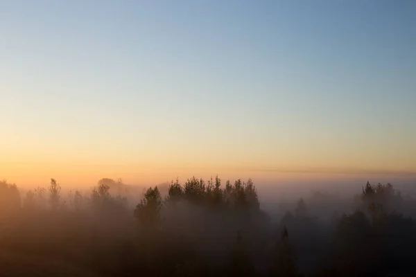 Manhã Sol Através Nevoeiro Cria Efeitos Incomuns Bonitos Cor Luz — Fotografia de Stock