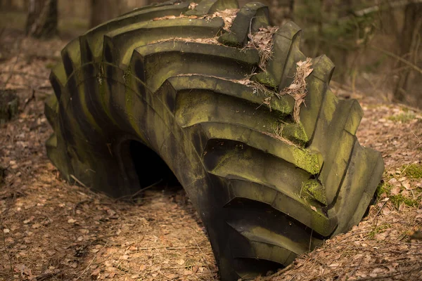 大きな古いタイヤ 自然の生態系のバランスの違反 — ストック写真