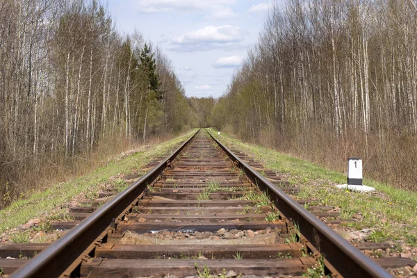 Ferroviária Indo Para Horizonte Movimento Para Frente Confiável Longo Caminho — Fotografia de Stock