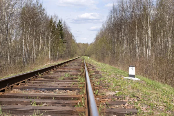 Spoorweg Naar Horizon Betrouwbare Voorwaartse Beweging Langs Het Beoogde Pad Rechtenvrije Stockfoto's