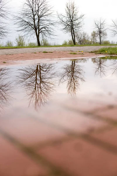Reflection Clear Water Spring Rain — Stock Photo, Image