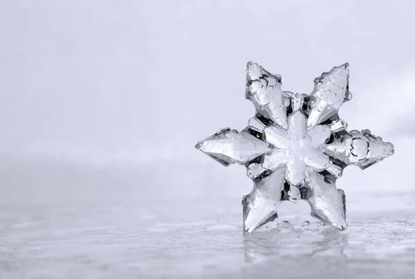 Copo de nieve fresco del invierno con el lado izquierdo Copyspace —  Fotos de Stock