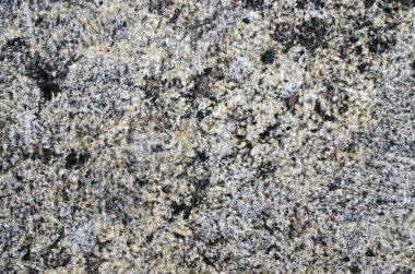 Kaba doku soyut arka plan