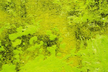 Grunge yeşil ve sarı boyalı arka plan soyut