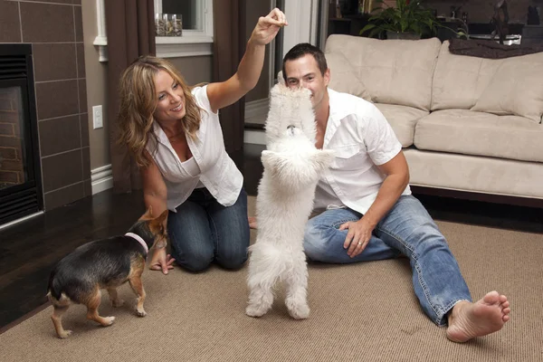 Couple playing with dog — Stock Photo, Image