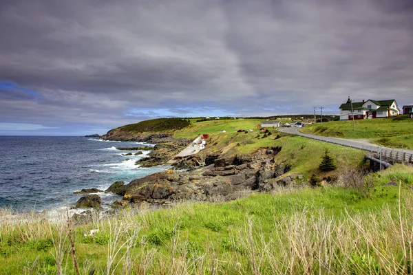 Portugal Cove Newfoundland — Stockfoto