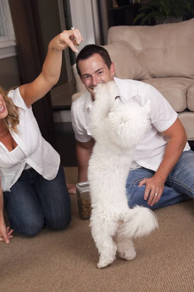 Man and dog tricks — Stock Photo, Image